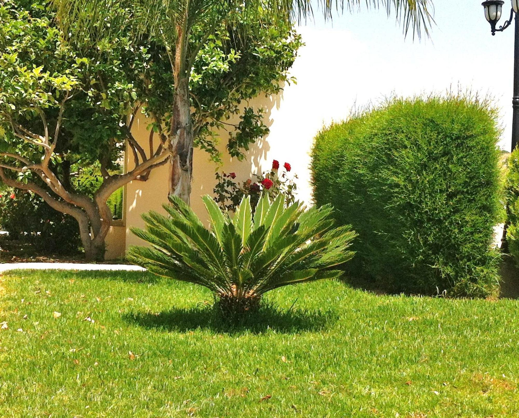 Himonas Apartments بيسوري المظهر الخارجي الصورة