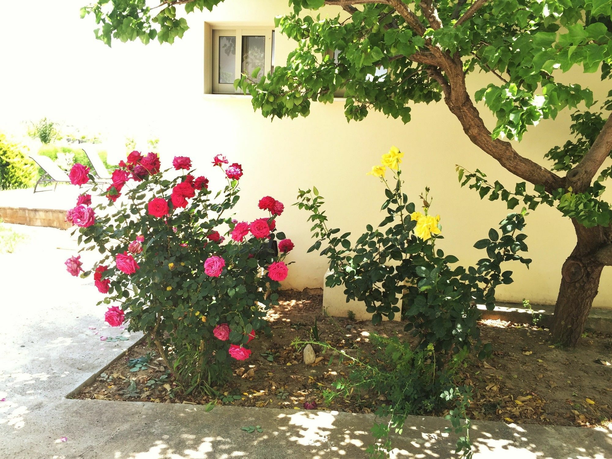 Himonas Apartments بيسوري المظهر الخارجي الصورة